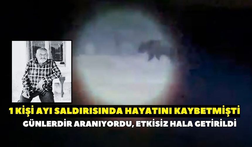 İzmir'de ayı paniği sona erdi! Günlerdir aranan ayı etkisiz hale getirildi