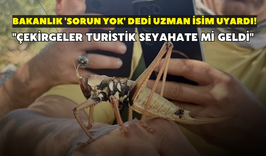 Bakanlık 'sorun yok' dedi uzman isim uyardı! "Çekirgeler turistik seyahate mi geldi"