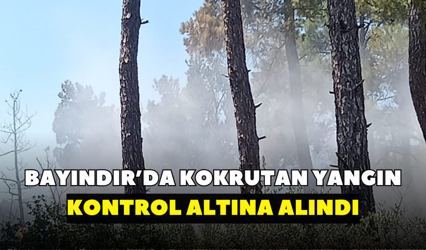 Bayındır'da korkutan yangın! Kontrol altına alındı