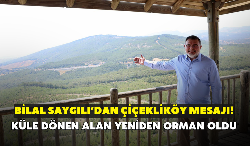 Bilal Saygılı’dan Çiçekliköy mesajı! Küle dönen alan yeniden orman oldu