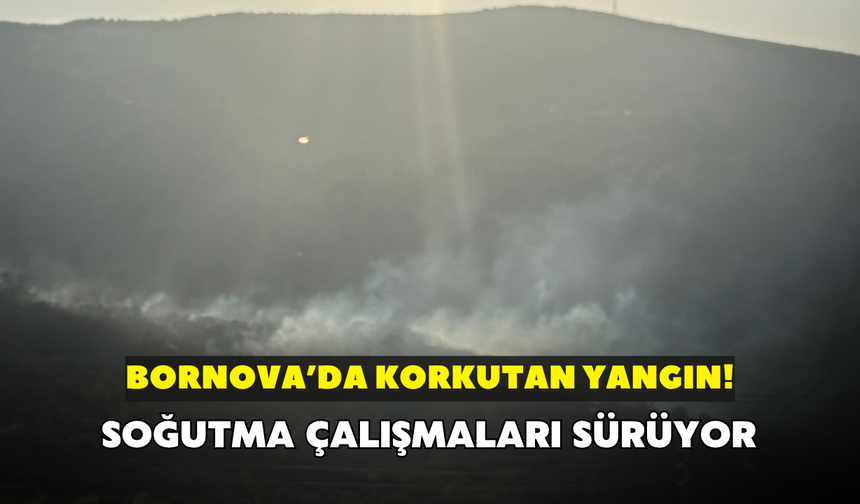 Bornova'da korkutan yangın! Soğutma çalışmaları sürüyor