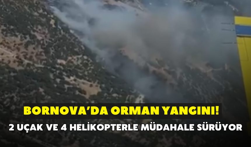 Bornova’da orman yangını! 2 uçak ve 4 helikopterle müdahale sürüyor