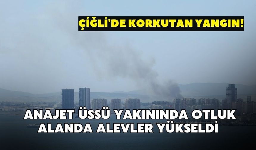 Çiğli'de korkutan yangın! Anajet Üssü yakınında otluk alanda alevler yükseldi