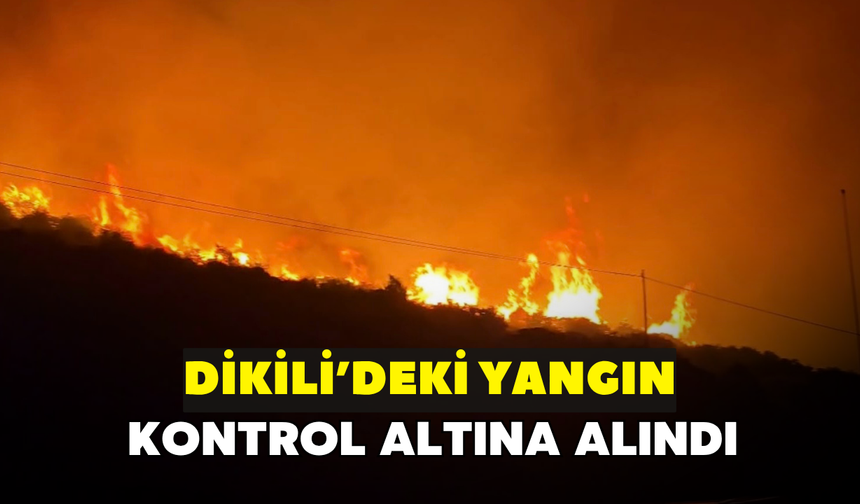Dikili'de meydana gelen yangın kontrol altına alındı!