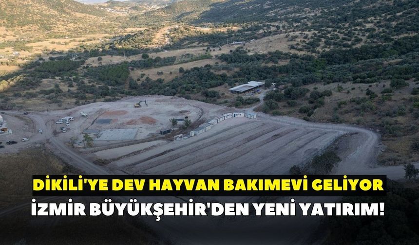İzmir Büyükşehir'den yeni yatırım! Dikili'ye dev hayvan bakımevi geliyor