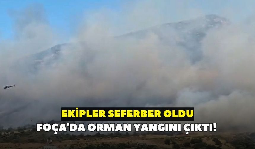 Foça'da orman yangını çıktı! Ekipler seferber oldu