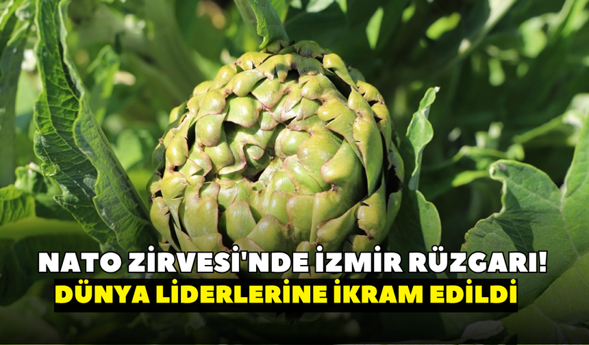 NATO Zirvesi'nde İzmir rüzgarı! Enginar dünya liderlerine ikram edildi