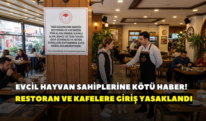 Evcil hayvan sahiplerine kötü haber! Restoran ve kafelere girişleri yasaklandı