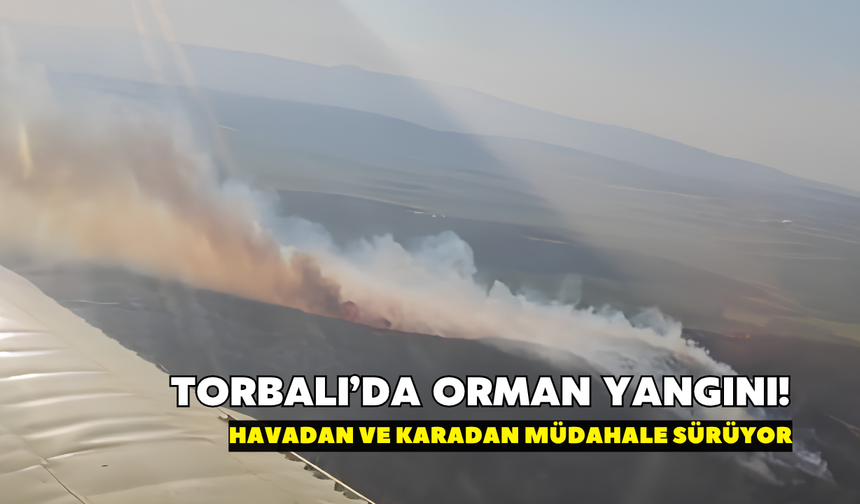 Torbalı'da orman yangını! Havadan ve karadan müdahale sürüyor