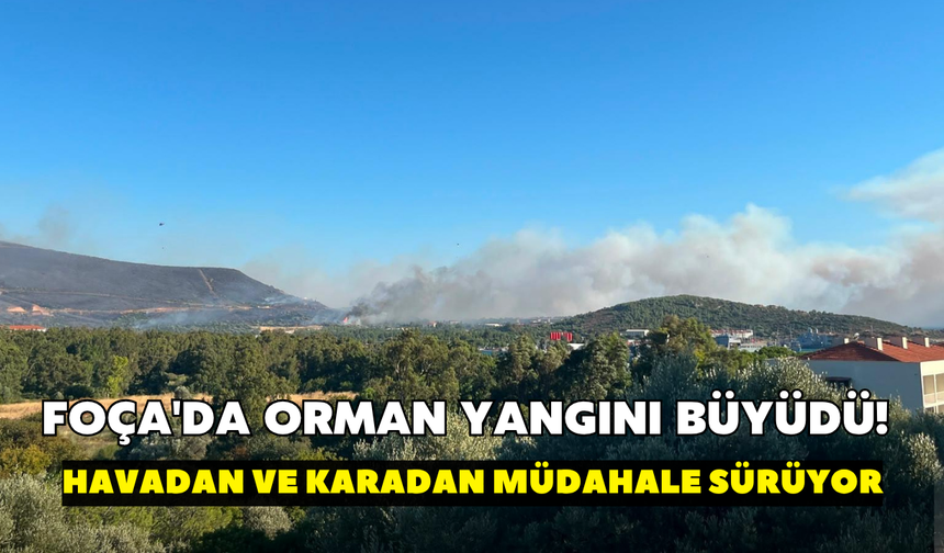 Foça'da orman yangını büyüdü! Havadan ve karadan müdahale sürüyor
