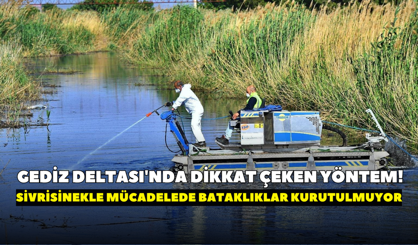 Sivrisineğe karşı mücadele, Gediz Deltası'nda doğayla uyumlu yürütülüyor