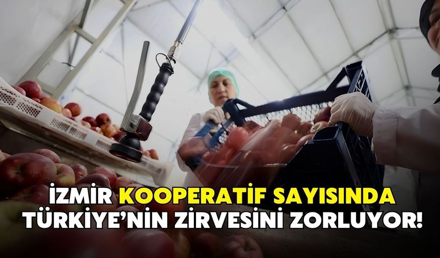İzmir kooperatif sayısında Türkiye’nin zirvesini zorluyor!