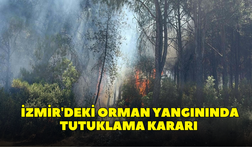 Buca'daki orman yangınında yeni gelişme! Şüpheli tutuklandı