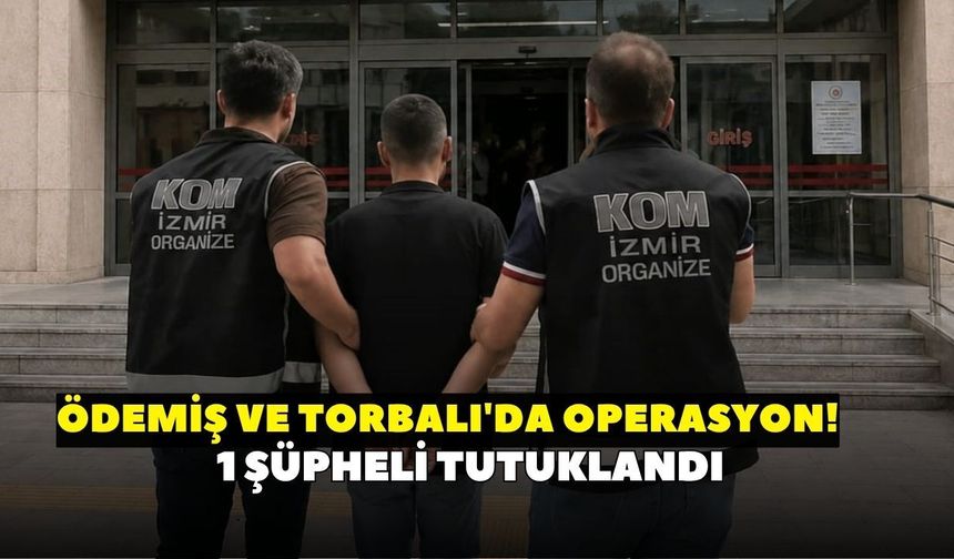 İzmir'de iki ilçede operasyon! Ruhsatsız silahlara geçit yok: 1 şüpheli tutuklandı
