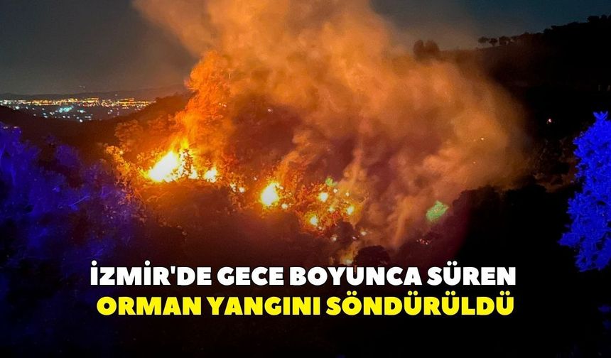 İzmir'de gece boyunca süren orman yangını söndürüldü