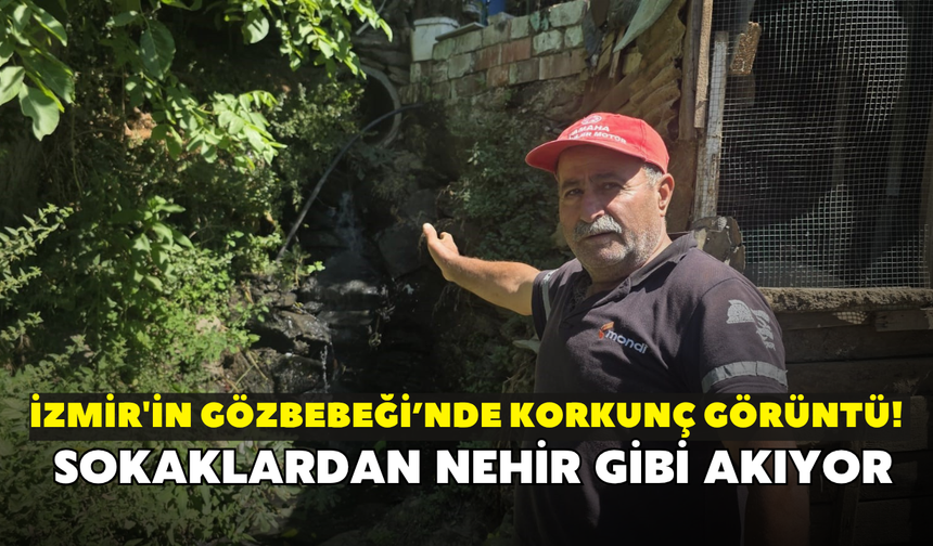 İzmir'in gözbebeği ilçesinde korkunç görüntü! Sokaklardan nehir gibi akıyor