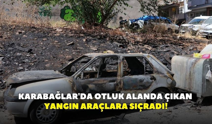 Karabağlar'da otluk alanda çıkan yangın araçlara sıçradı!