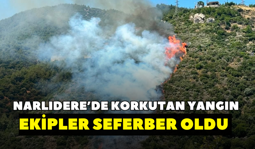 Narlıdere'de korkutan yangın! Ekipler seferber oldu