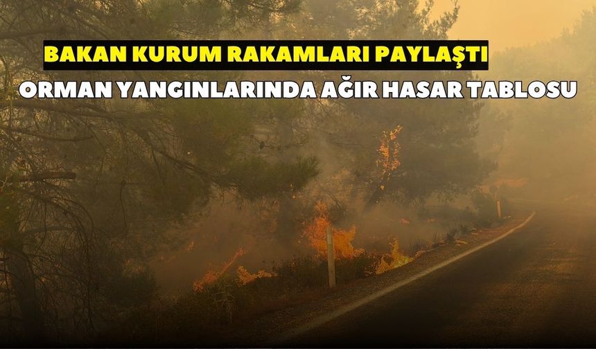 Orman yangınlarının hasar bilançosunu Bakan Kurum paylaştı! Antalya, Muğla ve Balıkesir yangınalrında son durum