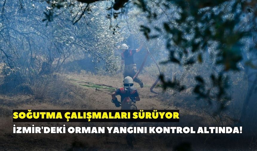 İzmir'deki orman yangını kontrol altında! Soğutma çalışmaları sürüyor