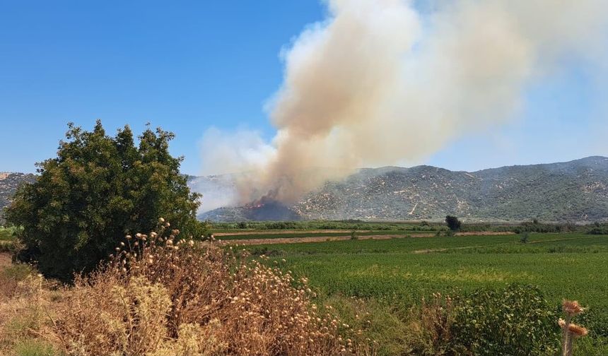 Son Dakika: Zirai alanda yangın çıktı! Havadan ve karadan müdahale sürüyor