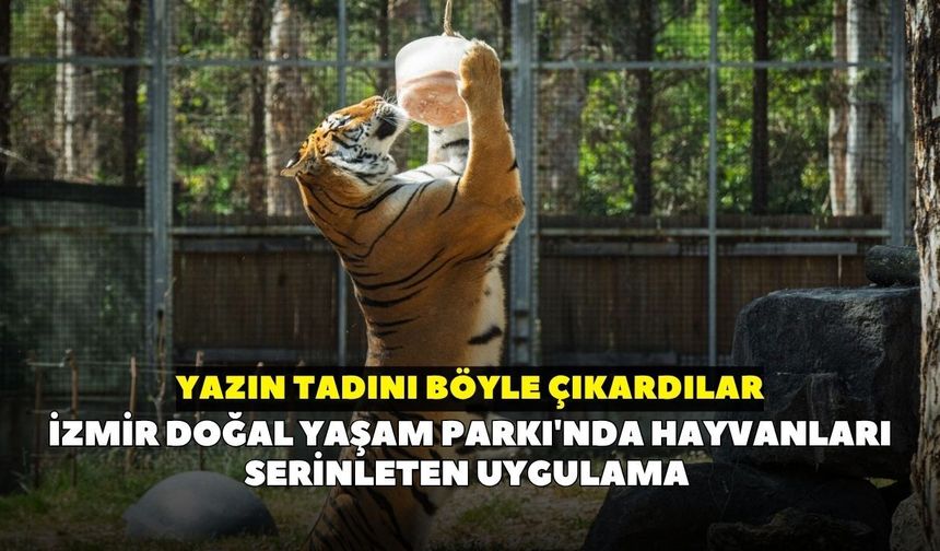İzmir Doğal Yaşam Parkı'nda hayvanları serinleten uygulama: Yazın tadını böyle çıkardılar
