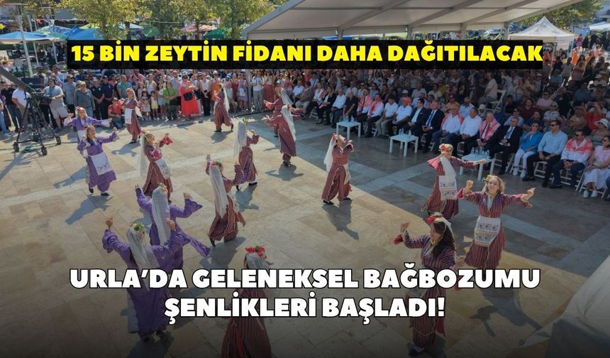 Urla’da Geleneksel Bağbozumu Şenlikleri başladı! 15 bin zeytin fidanı daha dağıtılacak