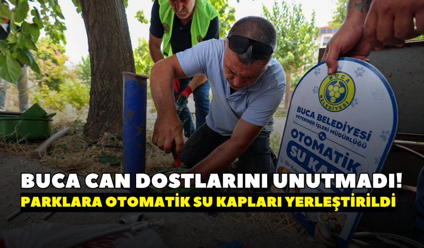 Buca sıcak havada can dostlarını unutmadı! Parklara otomatik su kapları yerleştirildi