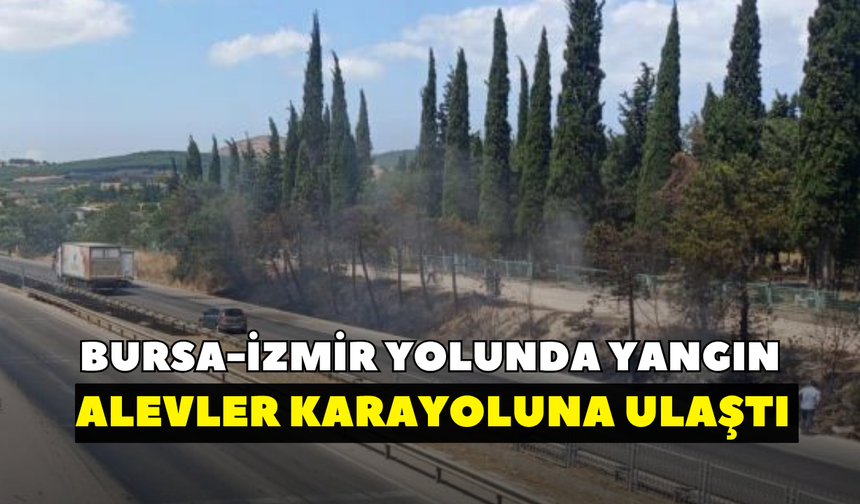 Bursa-İzmir yolunda yangın! Alevler karayoluna ulaştı