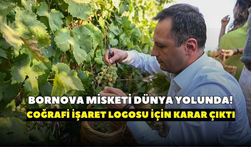 Bornova Misketi dünya yolunda! Coğrafi işaret logosu için karar çıktı