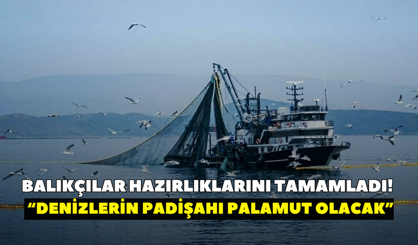 Balıkçılar hazırlıklarını tamamladı! “Denizlerin padişahı palamut olacak”