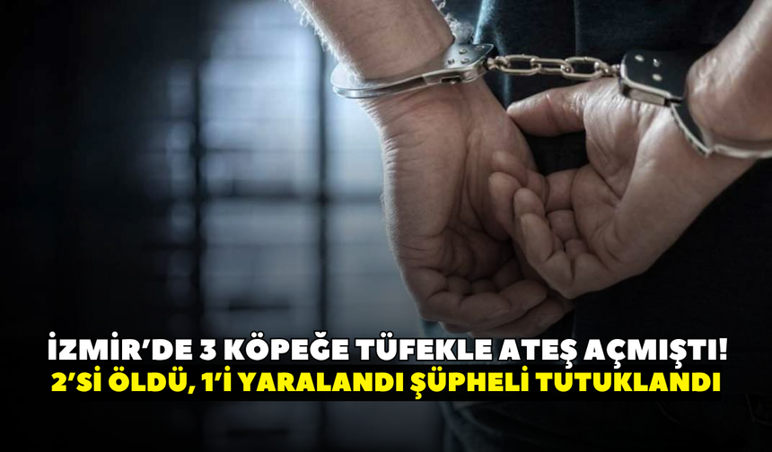 İzmir’de 3 köpeğe tüfekle ateş açmıştı! Köpeklerden 2’si öldü, 1’i yaralandı: Şüpheli tutuklandı