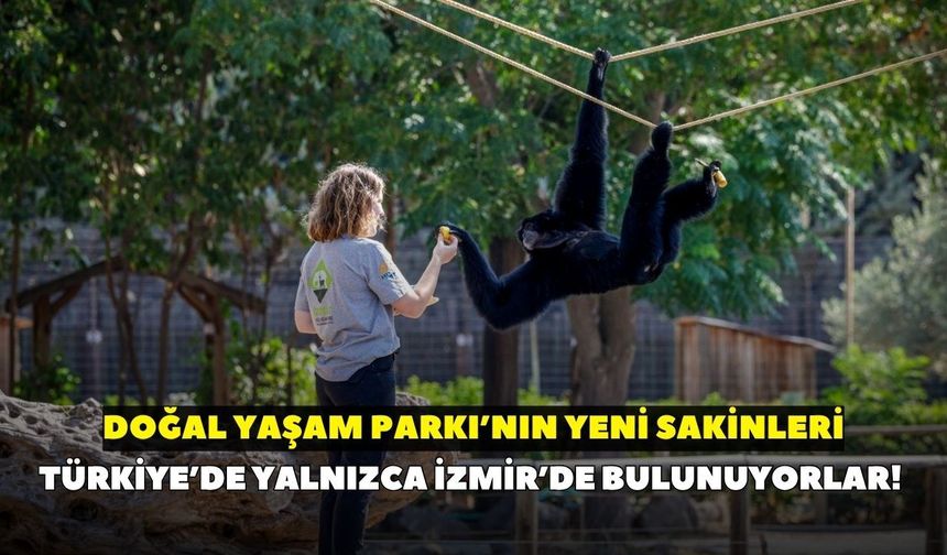 Türkiye’de yalnızca İzmir’de bulunuyorlar! Doğal Yaşam Parkı’nın yeni sakinleri