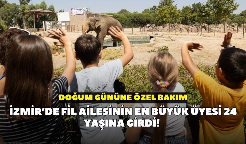 İzmir’de fil ailesinin en büyük üyesi 24 yaşına girdi! Doğum gününe özel bakım