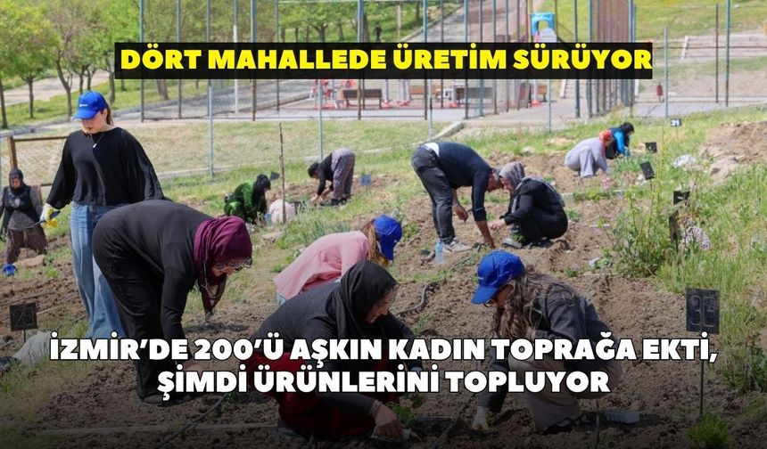 İzmir’de 200’ü aşkın kadın toprağa ekti, şimdi ürünlerini topluyor: Dört mahallede üretim sürüyor