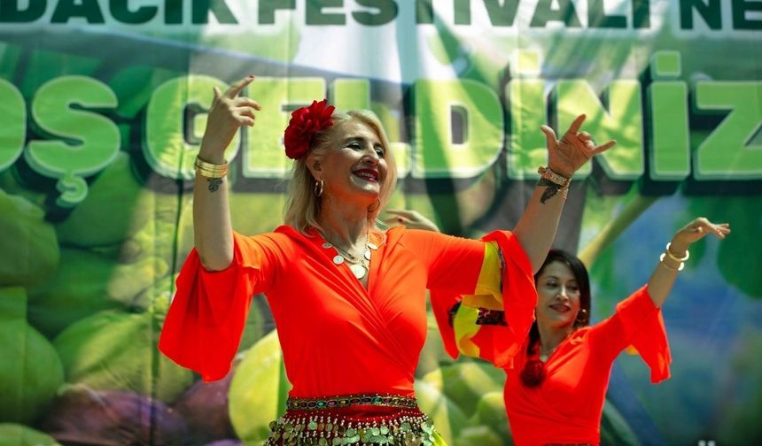 İzmir’de hafta sonu rotası belli oldu! Payamlı Festivali başlıyor: İşte gün gün etkinlik programı