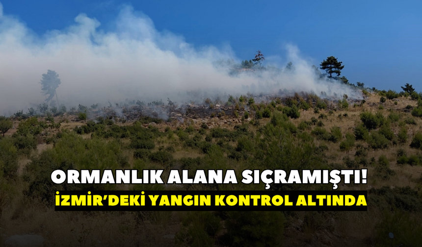 Tarım arazisinde çıkıp ormanlık alana sıçramıştı! İzmir’deki yangın kontrol altına alındı