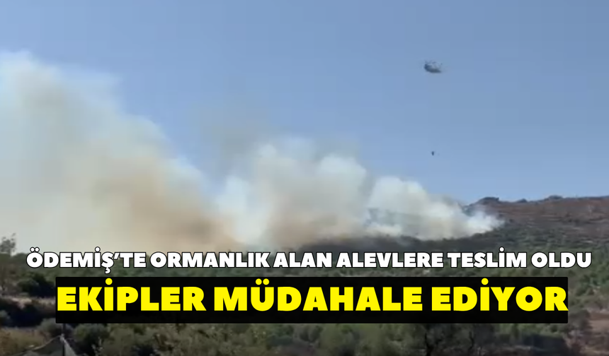 Ödemiş’te orman yangını! Ekipler müdahale ediyor