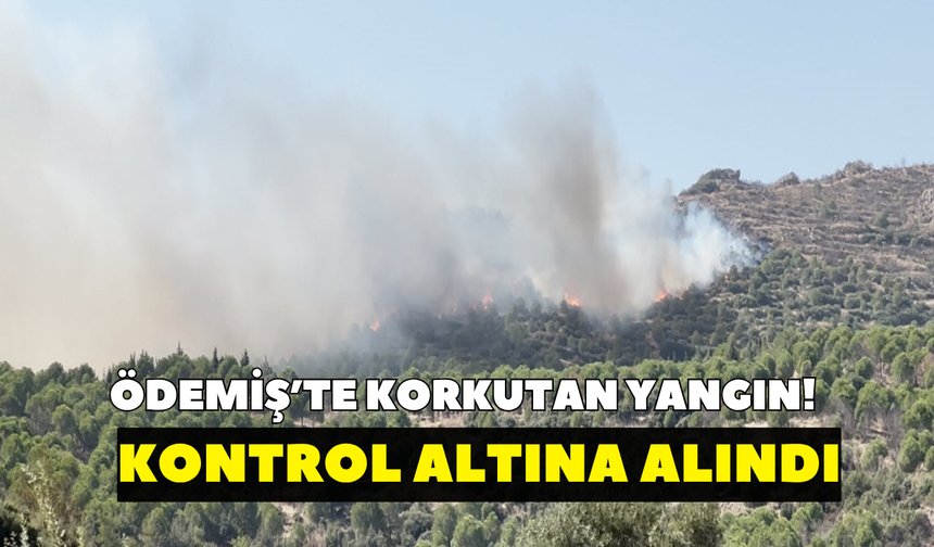 Ödemiş’te korkutan yangın! Kontrol altına alındı