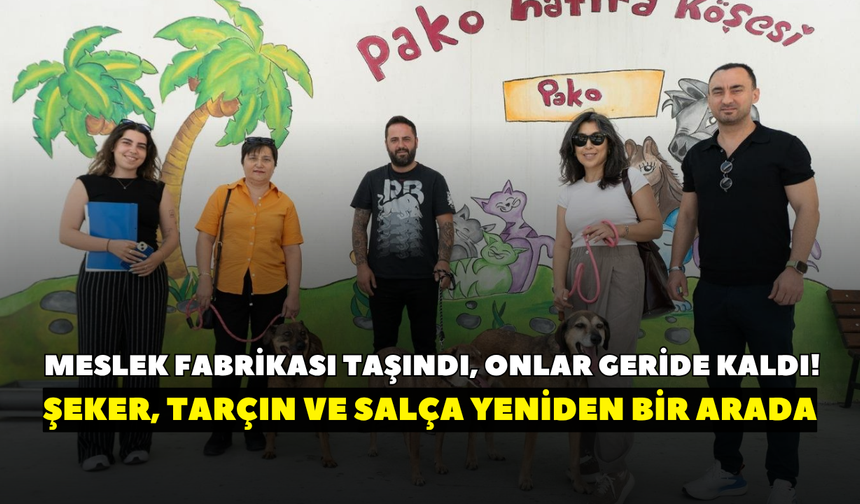 Meslek fabrikası taşındı, onlar geride kaldı! Şeker, Tarçın ve Salça yeniden bir arada