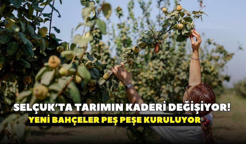 İzmir’de 2 bin dönümlük tarım hamlesi! Su geldi, üretim başladı