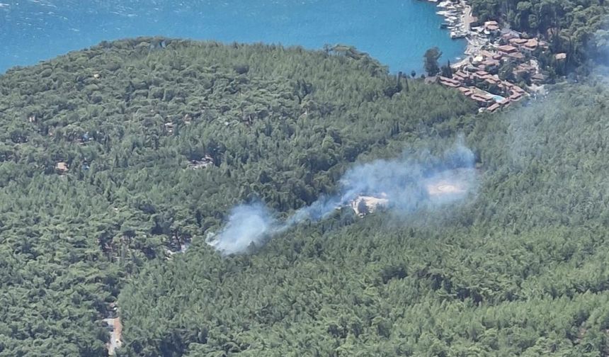 Son Dakika: Muğla'da orman yangını çıktı! Ekiplerin müdahalesi devam ediyor