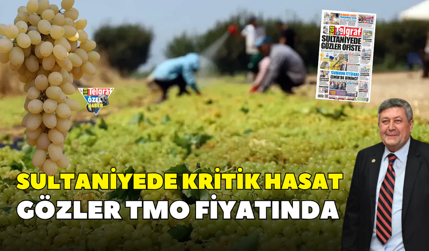Sultaniyede kritik hasat gözler TMO fiyatında
