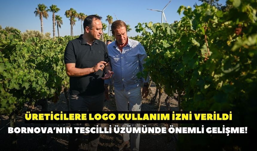 Bornova’nın tescilli üzümünde önemli gelişme! Üreticilere logo kullanım izni verildi