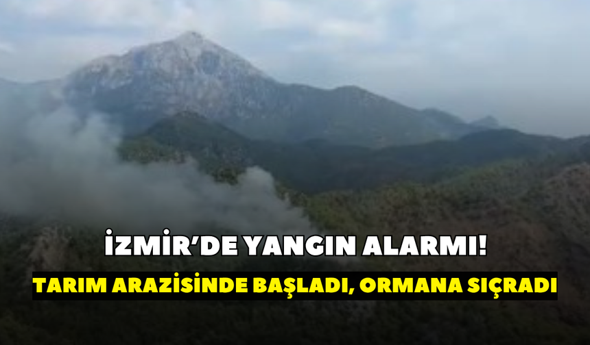 İzmir’de yangın alarmı! Tarım arazisinde başladı, ormana sıçradı