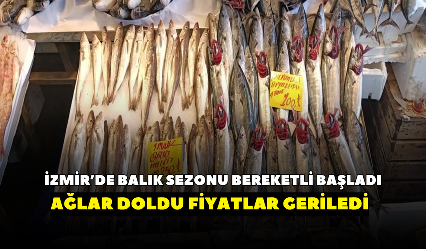 İzmir’de balık sezonu bereketli başladı! Ağlar doldu, fiyatlar düştü