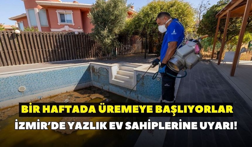 İzmir’de yazlık ev sahiplerine uyarı! Bir haftada üremeye başlıyorlar