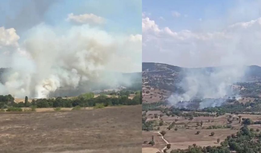 Tarım alanında başladı, ormana saıçradı! Bursa’daki yangına 4 helikopterle müdahale