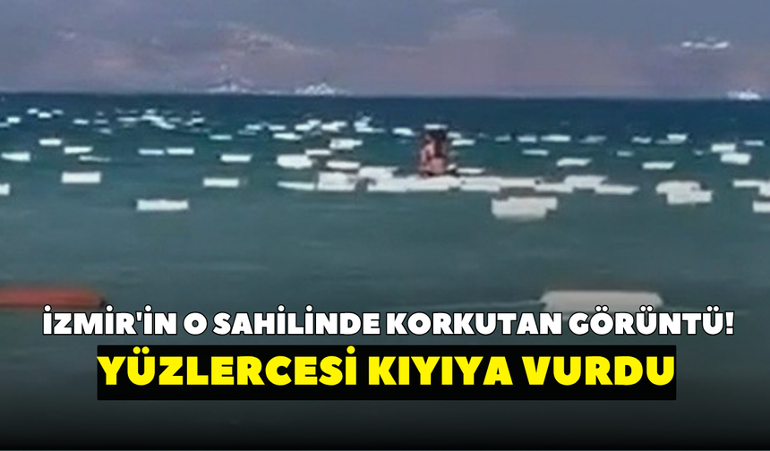 İzmir'in o sahilinde korkutan görüntü! Yüzlercesi kıyıya vurdu
