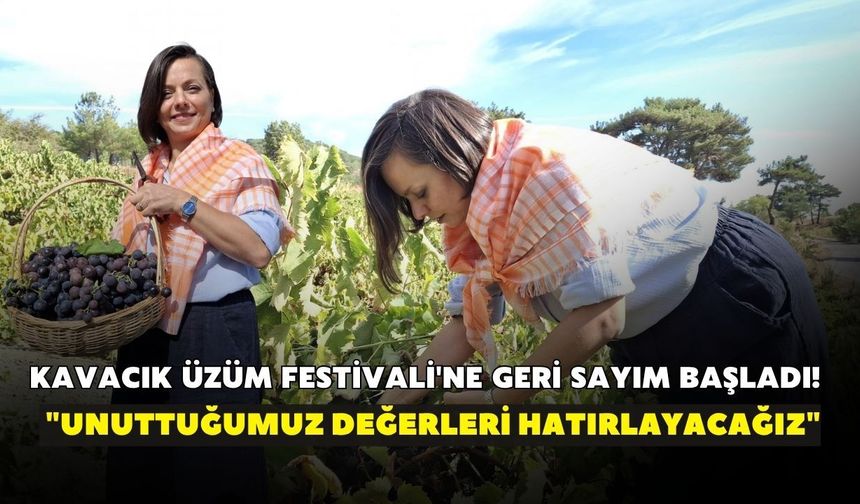 Kavacık Üzüm Festivali'ne geri sayım başladı! "Unuttuğumuz değerleri hatırlayacağız"